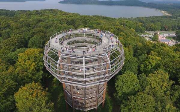 Baumwipfelpfad in Prora, Foto: Ralf Eppinger