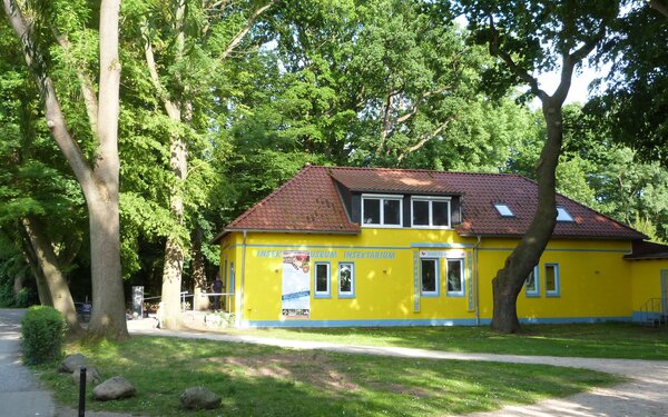 Insektenmuseum und Schmetterlingsfarm, Foto: Florian Toffel - SMT