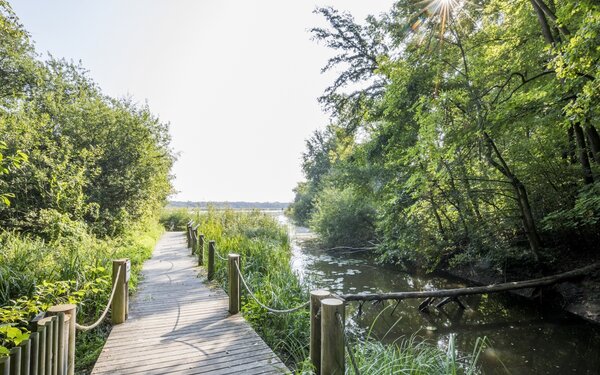 Naturschutzgebiet Riddagshausen, Foto: Stadt Braunschweig, Daniela Nielsen