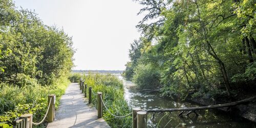 Naturparadies vor den Toren Braunschweigs