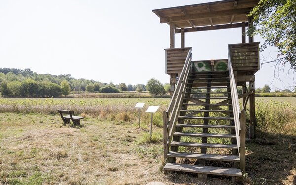 Naturschutzgebiet Riddagshausen, Foto: Stadt Braunschweig, Daniela Nielsen