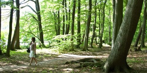 Durch grüne Paradiese im blauen Norden