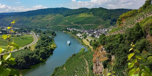 Zu Hexenhaus und Waldruuutsche in Ürzig