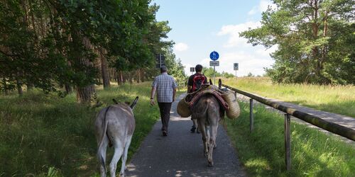 Unterwegs mit Eseln, Foto: Steffen Lehmann, Lizenz: TMB Fotoarchiv