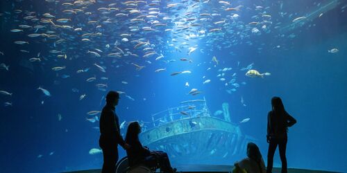 OZEANEUM Stralsund, Foto: Anke Neumeister/Deutsches Meeresmuseum