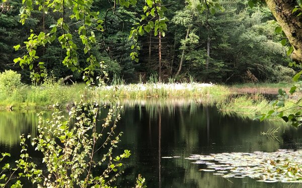 Ungeheuersee Weisenheim am Berg, Foto: Metzger, Urlaubsregion Freinsheim