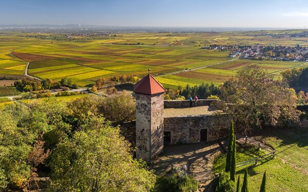 Burgruine Battenberg, Foto: Ketz, Pfalz Touristik Burgenweg