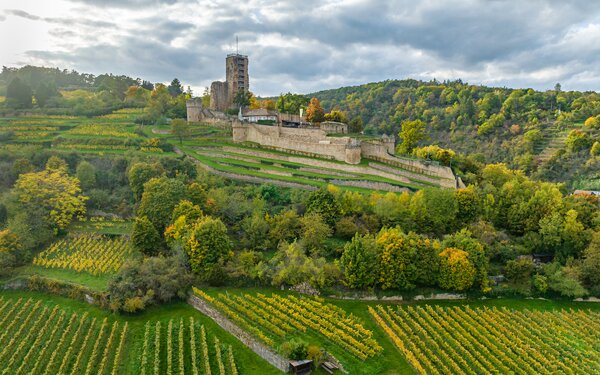 Wachtenburg in Wachenheim, Foto: Heimatlichter GmbH, Pfalz Touristik