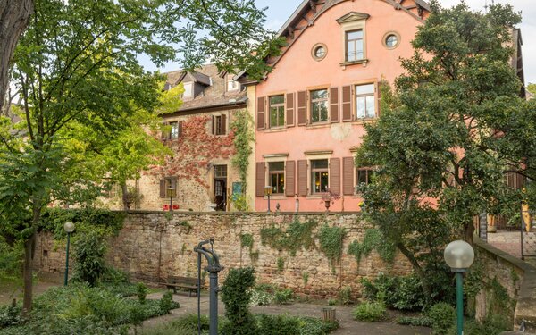 Schloss Deidesheim, Foto: Derzno, Wikipedia