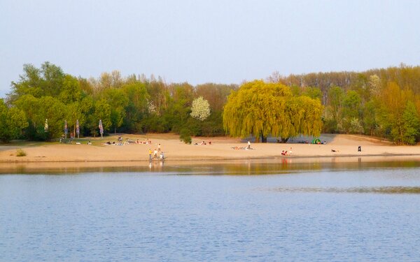 Binsfeld (See), Hauptstrand am Nordufer, Foto: Claus Ableiter, CC BY-SA