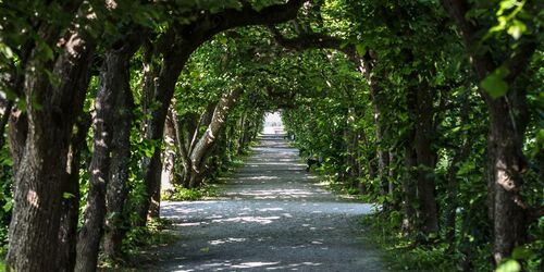 Laubengang im Hofgarten Dachau, Foto: Wolfgang Größlinger