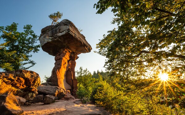 Teufelstisch in Hinterweidenthal, Foto: Dominik Ketz, Pfalz Touristik CC-BY-SA