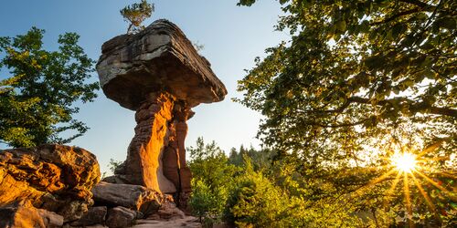 Felsformationen und Erlebnispark in Hinterweidenthal