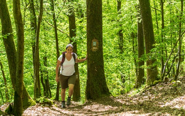 Im Frühling unterwegs auf dem Remigius-Wanderweg, Foto: Dominik Ketz, Pfalz Touristik