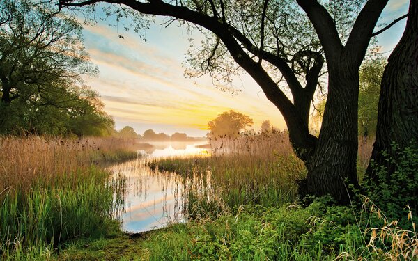 Kühnauer See, Foto: SMG Dessau-Roßlau, Sebastian Kaps