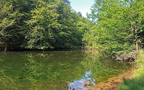 Annaweiher im Waschtal, Foto: Tourist-Information Gräfensteiner Land