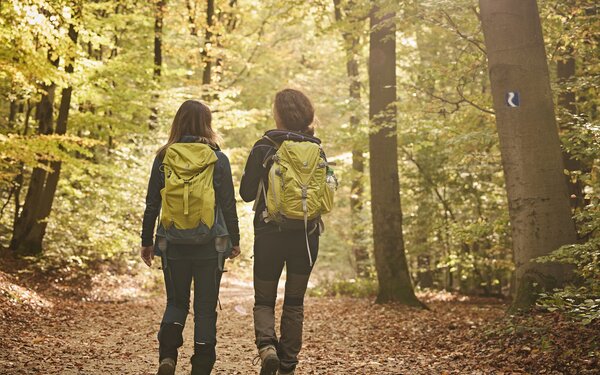 Wanderinnen im Wald, Foto: Marco Rothbrust, Romantischer Rhein Tourismus GmbH