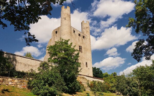 Burgruine „Hoher Schwarm“, Foto: KRiPPs/pixabay.com