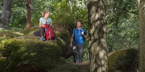 Hoch zum Hoxberg-Gipfel: Traumschleife Kaltensteinpfad