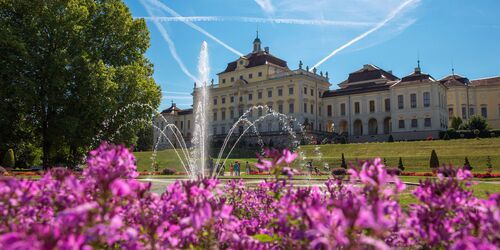 Blühendes Barock in Ludwigsburg