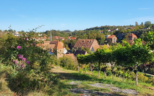 Auf den Schranken, Blick auf das Kloster Maulbronn, Foto: Stadt Maulbronn