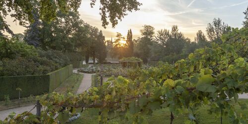 Schloss Charlottenhof, Blick auf den Rosengarten, Foto: André Stiebitz, Lizenz: PMSG SPSG