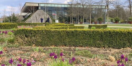 Der Volkspark im Frühjahr, Foto: Claudia Kumke, Lizenz: PMSG