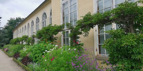 Orangerie im Neuen Garten, Foto: Sophie Soike, Lizenz: PMSG SPSG