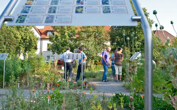 Apothekergarten Schonungen, Foto: A. Hub