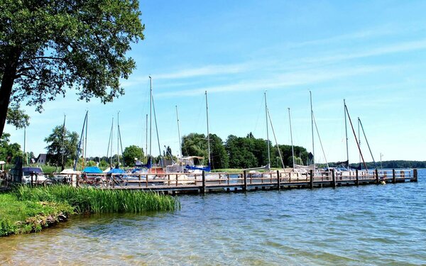 Badestelle Festwiese in Wendisch Rietz, Foto: Tourismusverein Scharmützelsee