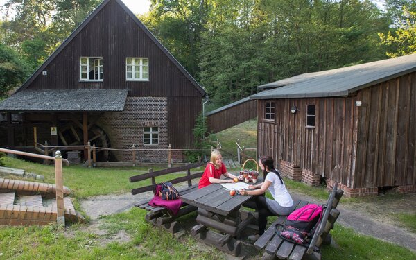 Schwerzkoer Mühle, Foto: Florian Läufer, Lizenz: Seenland Oder-Spree