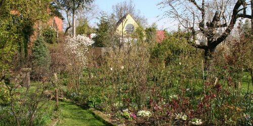 Pfarrgarten Saxdorf, Foto: Kunst & Kultursommer Saxdorf e.V., Lizenz: Kunst & Kultursommer Saxdorf e.V.