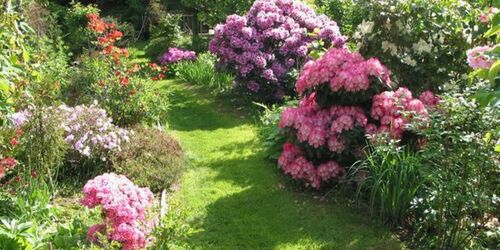 Pfarrgarten Saxdorf, Foto: TV Elbe-Elster-Land e.V, Lizenz: TV Elbe-Elster-Land e.V