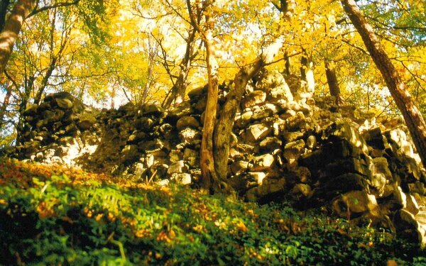 Heilsberg Ruine, Foto: Gemeinde Gottmadingen