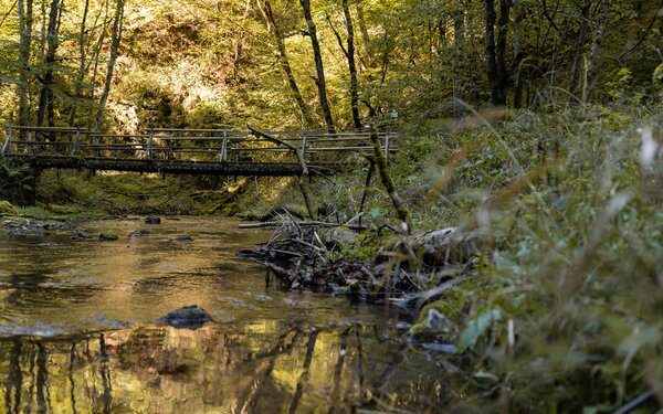 Fluss Gauchach in der Gauchachschlucht, Foto: Hochschwarzwald Tourismus GmbH