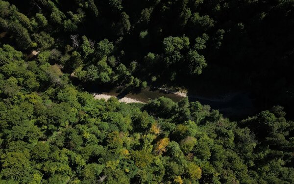 Die Gauchachschlucht von oben, Foto: Hochschwarzwald Tourismus GmbH