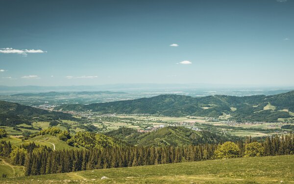 Aussicht ins Dreisamtal vom Hinterwaldkopf, Foto: Hochschwarzwald Tourismus GmbH