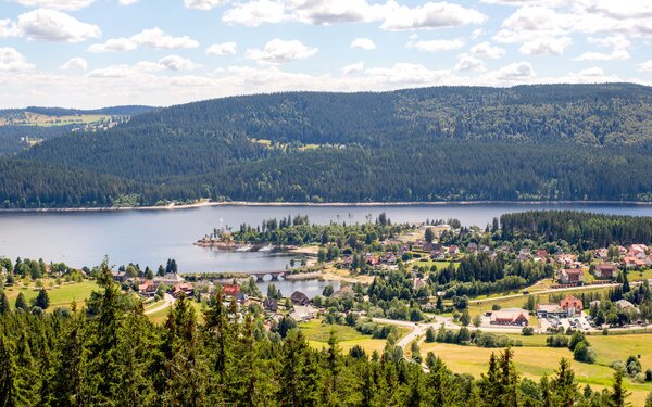 Blick auf Schluchsee vom Riesenbühlturm, Foto: Hochschwarzwald_Tourismus_GmbH