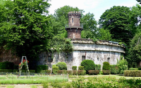 Volksgarten, Rosengarten, Foto: Geolina163, Wikimedia Commons, CC BY-SA 4.0