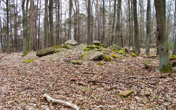 Königsberg - Hügelgrab im Gipfelbereich, Foto: Steffen 962, CC BY-SA 4.0, https://commons.wikimedia.org