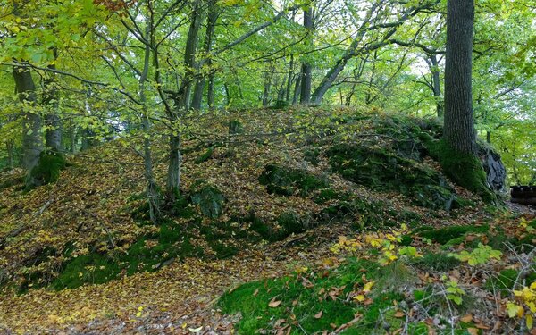 Schmale Spornseite mit Halsgraben zum südlicheren Burgplateau und ehemals umlaufendem Wallgraben., Foto: Commander-pirx, CC BY-SA 4.0, https://commons.wikimedia.org