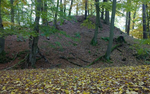 Blick aufs das südliche hochmittelalterliche Burgplateau Ri. Ederseetal, Foto: Commander-pirx, CC BY-SA 4.0, https://commons.wikimedia.org