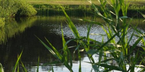 Blick auf die Anlage, Foto: GolfResort Semlin am See