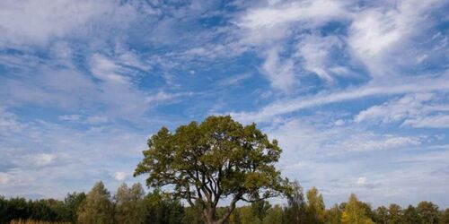 Der Golfplatz, Foto: GolfResort Semlin am See