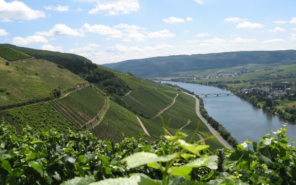 Blick vom Schweicher Annaberg auf Mosel und Bruecke bei Longuich, Foto: Verein_Roemische_Weinstraße_e.V.