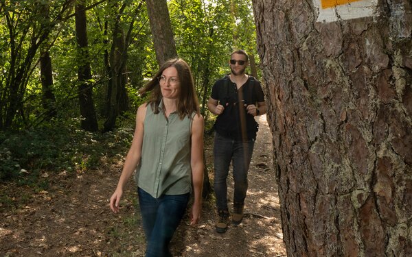 Wanderpaar Wald Moselsteig, Foto: G.Weyrich