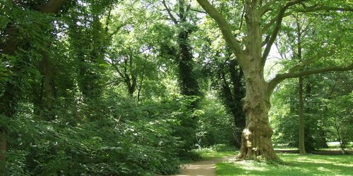 Schlosspark Nennhausen, Foto: Tourismusverband Havelland e.V., Lizenz: Tourismusverband Havelland e.V.