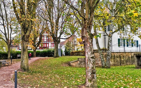 Schloßpark Rockenhausen, Foto: VG Nordpfälzer Land