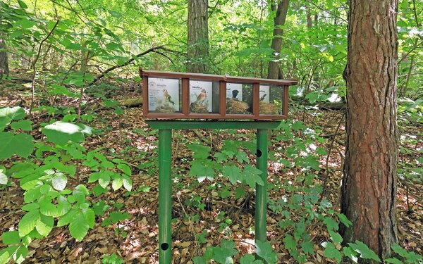 Unterwegs auf dem Vogellehrpfad, Foto: Uwe Miethe, Lizenz: DB