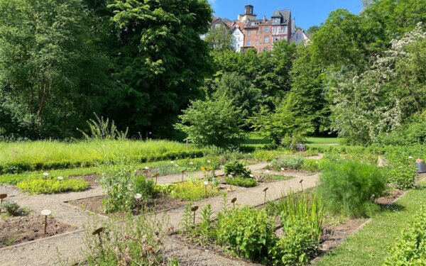 Kräutergarten_Alter botanischer Garten, Foto: Marburg Stadt und Land TourismusGmbH, Katrin Lotzmann